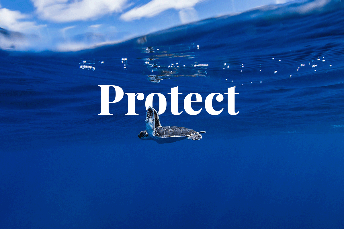Ocean conservation actions